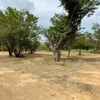 Prefeitura de Carinhanha realiza limpeza no Balneário Pontal e proíbe uso de paredão e entrada de carro. - Foto 2 Prefeitura de Carinhanha realiza limpeza no Balneário Pontal e proíbe uso de paredão e entrada de carro. - Foto 2