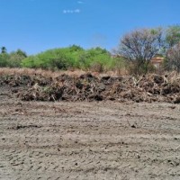 Prefeitura de Guanambi intensifica a limpeza da Lagoa de João Amaral; ação era um pedido antigo da comunidade. - Foto 4 Prefeitura de Guanambi intensifica a limpeza da Lagoa de João Amaral; ação era um pedido antigo da comunidade. - Foto 4