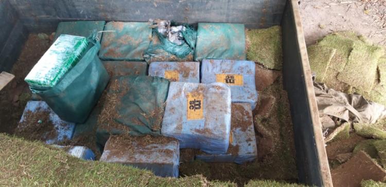 Cão farejador encontra carga de meia tonelada de cocaína no interior da Bahia.