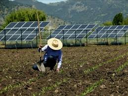 Agricultura familiar já pode financiar produção de energia solar e eólica pelo PRONAF.