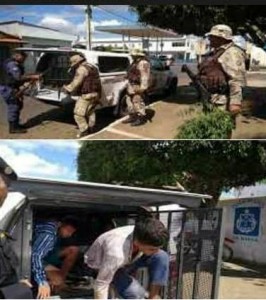 Pol?cia apreende 12 p?s de maconha em Lic?nio de Almeida.