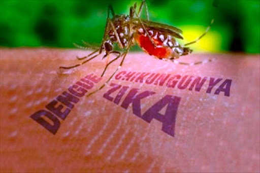 Bahia tem mais de 2 mil casos de dengue, chikungunya e zika nas cinco primeiras semanas do ano.