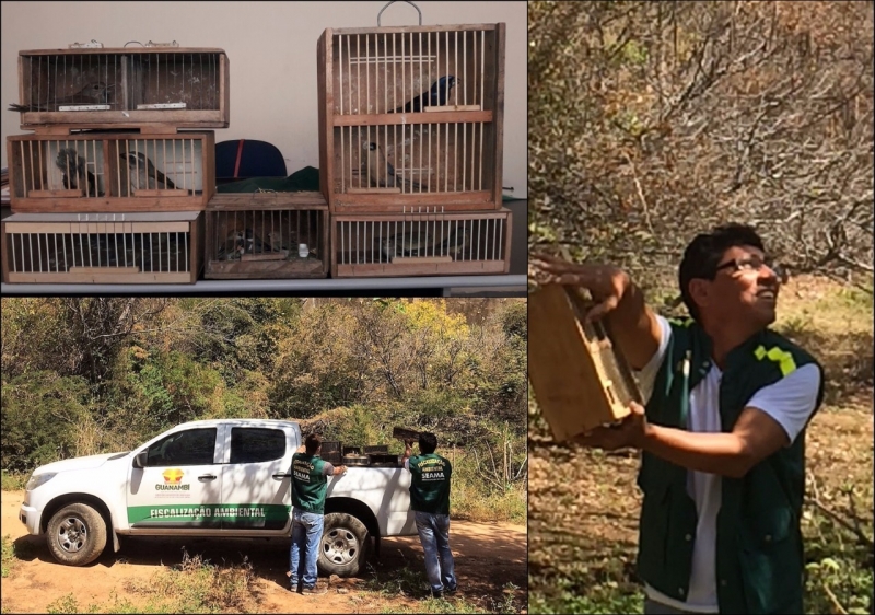 Guanambi: Departamento de Meio Ambiente faz apreens?o na Feira Livre.