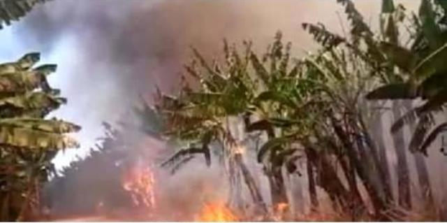Incêndio atinge área do Projeto Formoso em Bom Jesus da Lapa.