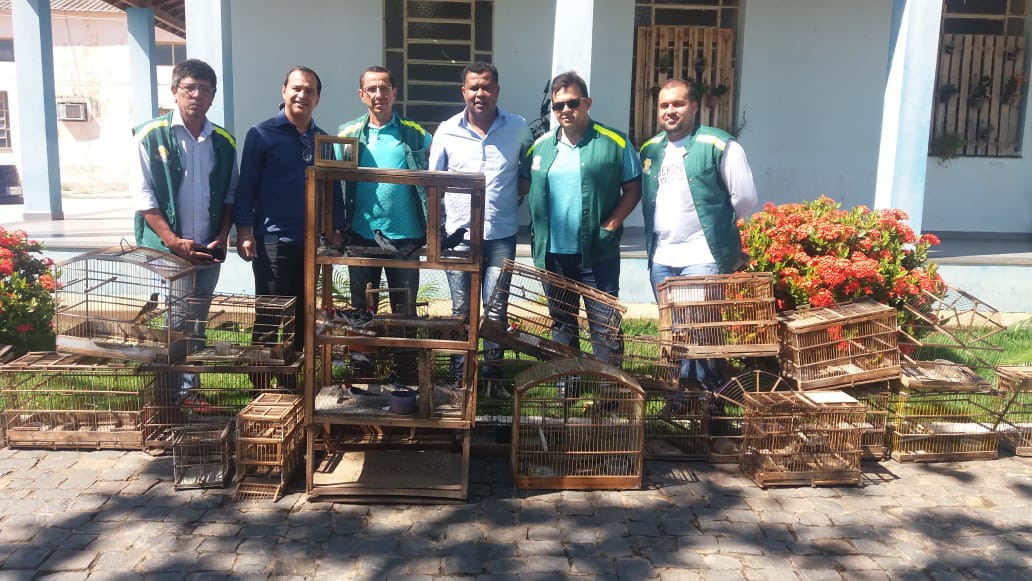 Secretaria de Agricultura e Meio Ambiente de Guanambi realiza mais uma a??o de fiscaliza??o e soltura de p?ssaros silves