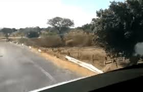 Carinhanha: Mais um acidente com v?tima fatal ? registrado na zona rural.