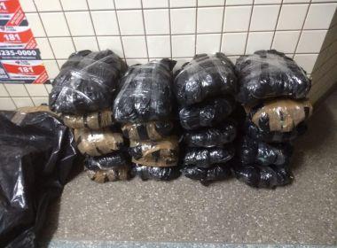 Bahia: Advogado é flagrado transportando 21 kg de maconha.