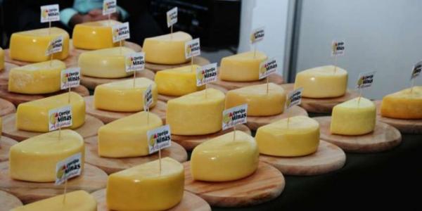 Empresário Luís Carlos anuncia unidade da fábrica de Queijo Canastra em Malhada.