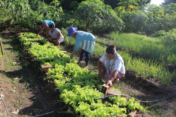 Seguindo calendário do NIS, Governo Federal inicia pagamento do Garantia-Safra em Guanambi.