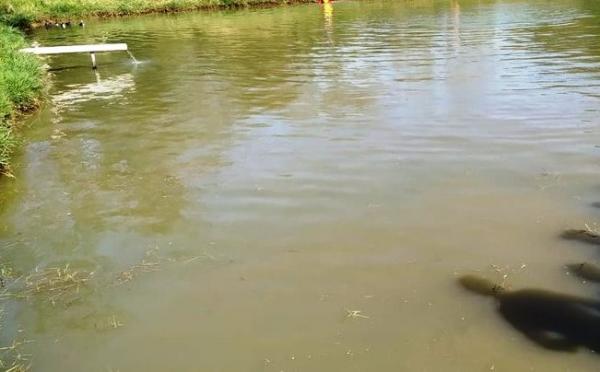 Homem morre afogado na zona rural de Caetité.