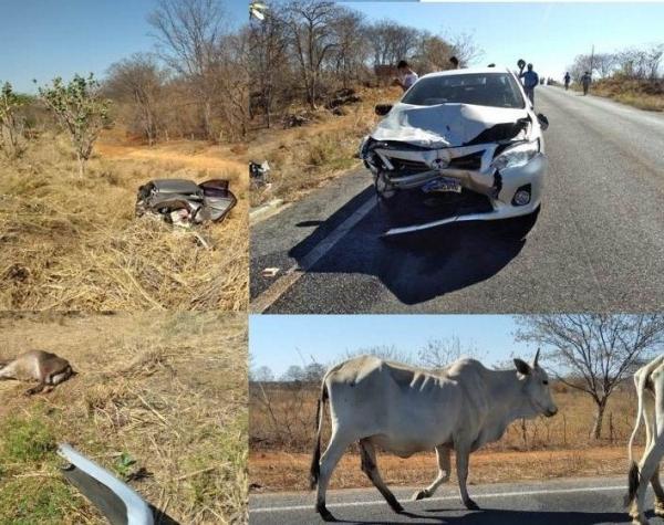 Animais na pista provocam colisão violenta entre dois carros em Carinhanha.