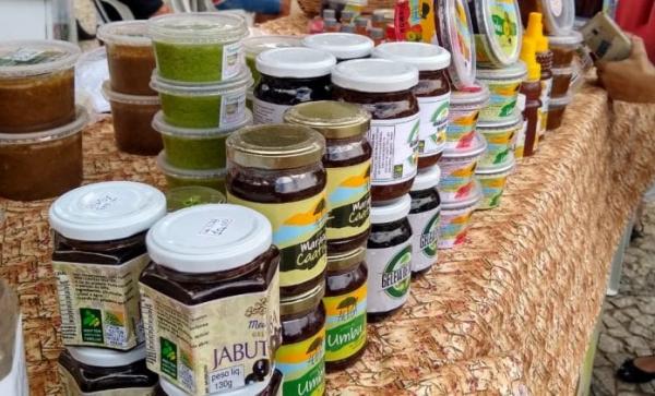 Instituto Casa da Cidadania e Cesol Sertão Produtivo promovem feira da Economia Solidária e Agricultura Familiar em Guanambi.