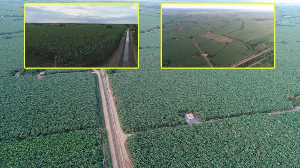 Codevasf abre licitação para venda de lotes agrícolas irrigados em Bom Jesus da Lapa.