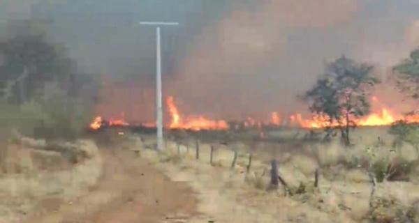 Incêndio atinge propriedades rurais em Riacho de Santana.