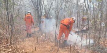 Palmes de Monte Alto está entre as cidades com focos ativo de incêndio na Bahia.