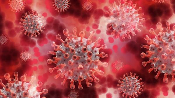 Brasil tem primeira morte confirmada pela variante ômicron da Covid-19.
