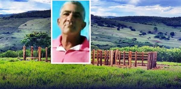 Idoso morre após ataque de abelhas no Sudoeste da Bahia.
