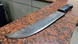 Homem fere companheira com facão e comete suicídio em Pindaí.