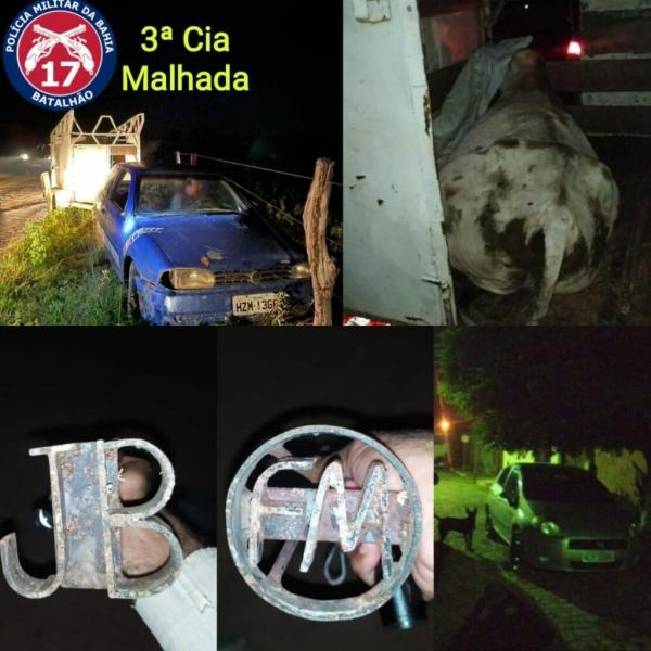 Polícia Militar deflagra para combater furto de gado em Malhada..