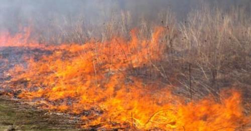 Idoso morre carbonizado após colocar fogo em terreno na zona rural de Palmas de Monte Alto.
