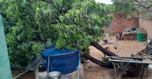 Fortes chuvas e ventanias derrubam muro em Iuiu.