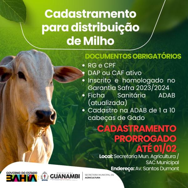 Secretaria de Agricultura de Guanambi prorroga prazo de cadastro de criadores para distribuição de milho para ração animal.