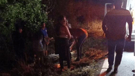 Vigilante fica ferido após colidir moto contra animal na BR-030, em Palmas de Monte Alto.