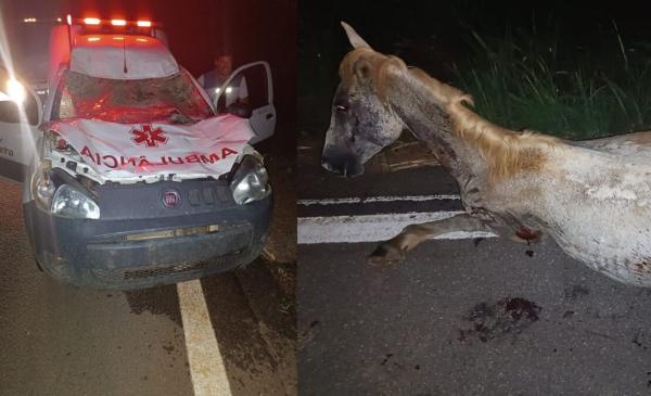 Ambulância de Carinhanha bate em cavalo na BR-030, em Iuiu.