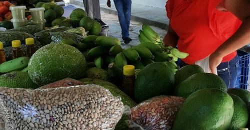 IF Baiano promove Seminário no campus e Feira Agroecológica no Centro de Guanambi.