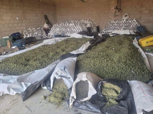 Operação conjunta da PM e PF apreende mais de duas toneladas de maconha na zona rural de Sebastião Laranjeiras.