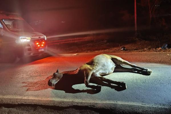 Casal fica ferido após motocicleta colidir com cavalo solto na BR-264, em Caetité.