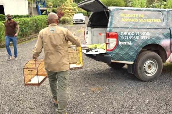 Igaporã terá mobilização para entrega voluntária de animais silvestres mantidos irregularmente.