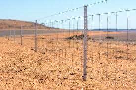 Briga por terra quase termina em tragédia na zona rural de Palmas de Monte Alto.