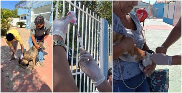 Iuiu realiza mobilização para vacinar cães e gatos contra a raiva.