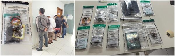 Operação “Sertão Limpo” resulta em cinco prisões por tráfico de drogas em Caetité. Operação “Sertão Limpo” resulta em cinco prisões por tráfico de drogas em Caetité.