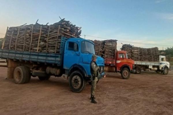 Polícia apreende cerca de 90 m³ de madeira nativa transportada ilegalmente em Palmas de Monte Alto.