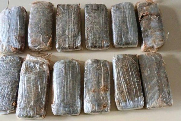 Polícia Militar encontra grande quantidade de maconha escondida em Iuiu.