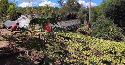 Carreta carregada de laranjas tomba em ladeira e motorista morre em Licínio de Almeida.