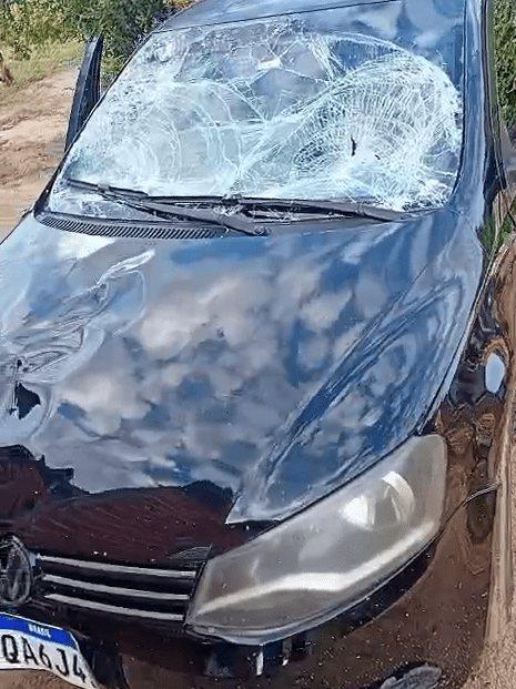 Colisão com animal é registrada na BA-160, em Malhada, e reforça alerta sobre risco na rodovia.