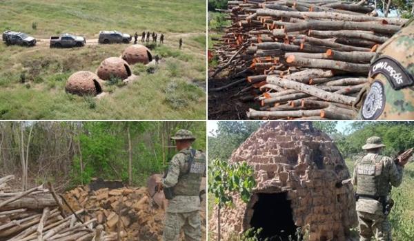 Operação apreende toneladas de carvão ilegal e desmonta estrutura clandestina em Palmas de Monte Alto.