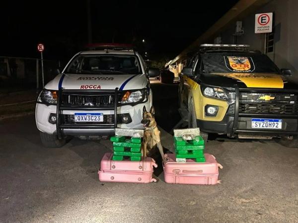 Mulher é presa transportando 22 barras de maconha em ônibus com destino à Guanambi.