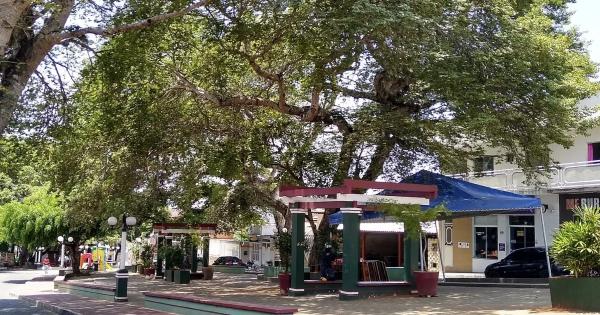Ministério Público recomenda remoção de estruturas comerciais da Praça da Catedral em Caetité.