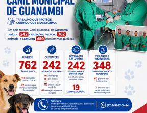 Em seis meses, Canil Municipal de Guanambi realizou 242 castrações, recebeu 762 animais e capturou 450 cães em vias públicas.