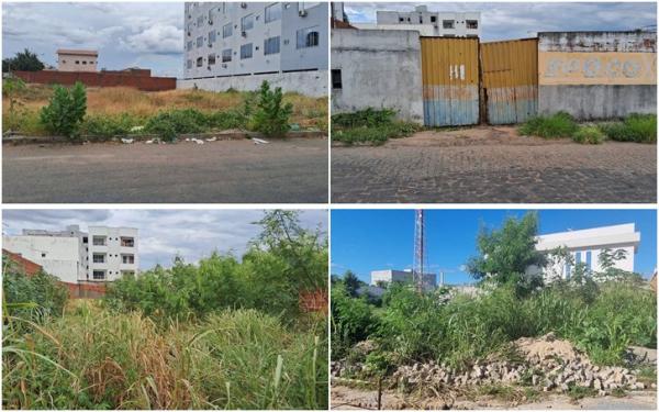 Guanambi altera lei e endurece regras para limpeza de terrenos; Prefeitura poderá cobrar custos e recorrer à Justiça.