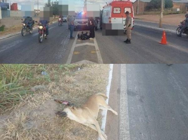 Motociclista sofre queda após colisão com cachorro na BR-030, em Guanambi.