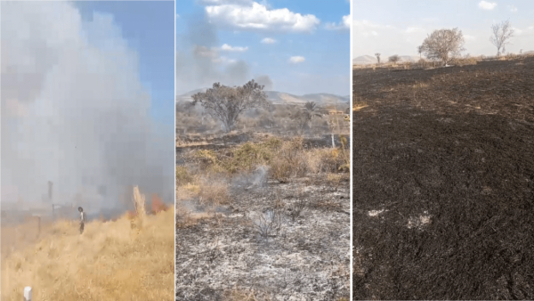Incêndio destrói pastagens e estruturas rurais e assusta moradores na zona rural de Candiba.