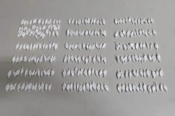 Polícia encontra mais de 200 papelotes de cocaína dentro de encomenda em ônibus na BR-030.