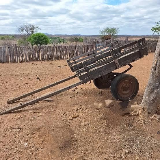Idoso de 76 anos morre após acidente com charrete na zona rural de Guanambi.